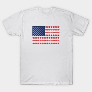 Paw Print American Flag T-Shirt